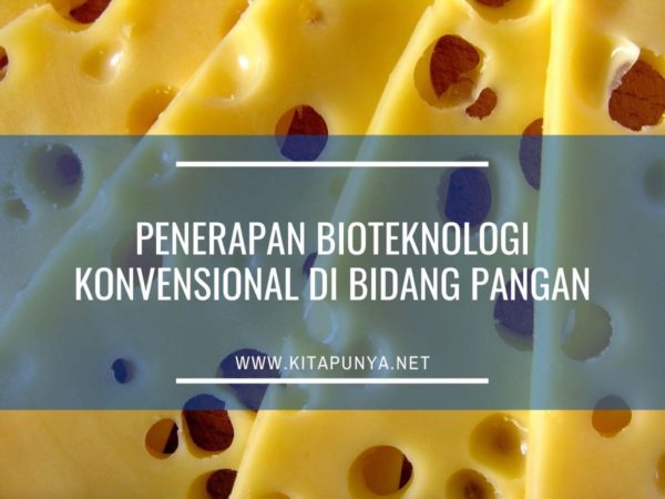 penerapan bioteknologi konvensional