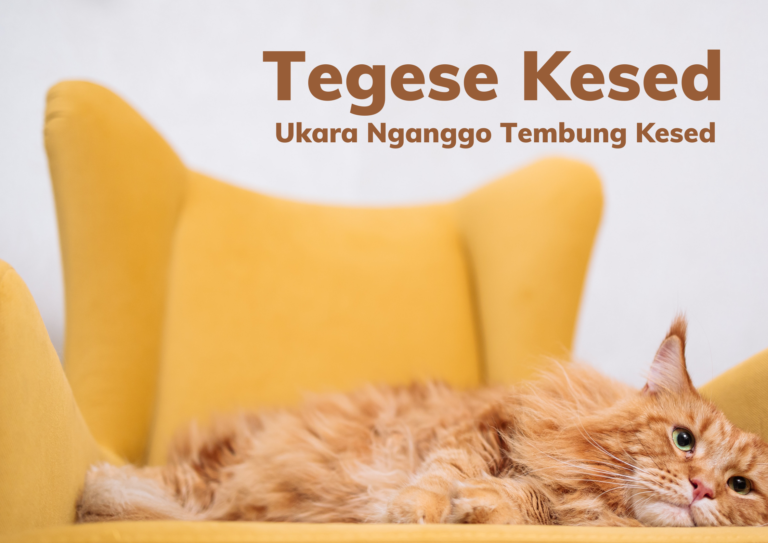 Kesed Inj Kesed Tegese: Sinonim lan Ukara Nganggo Tembung Kesed - Kita Punya